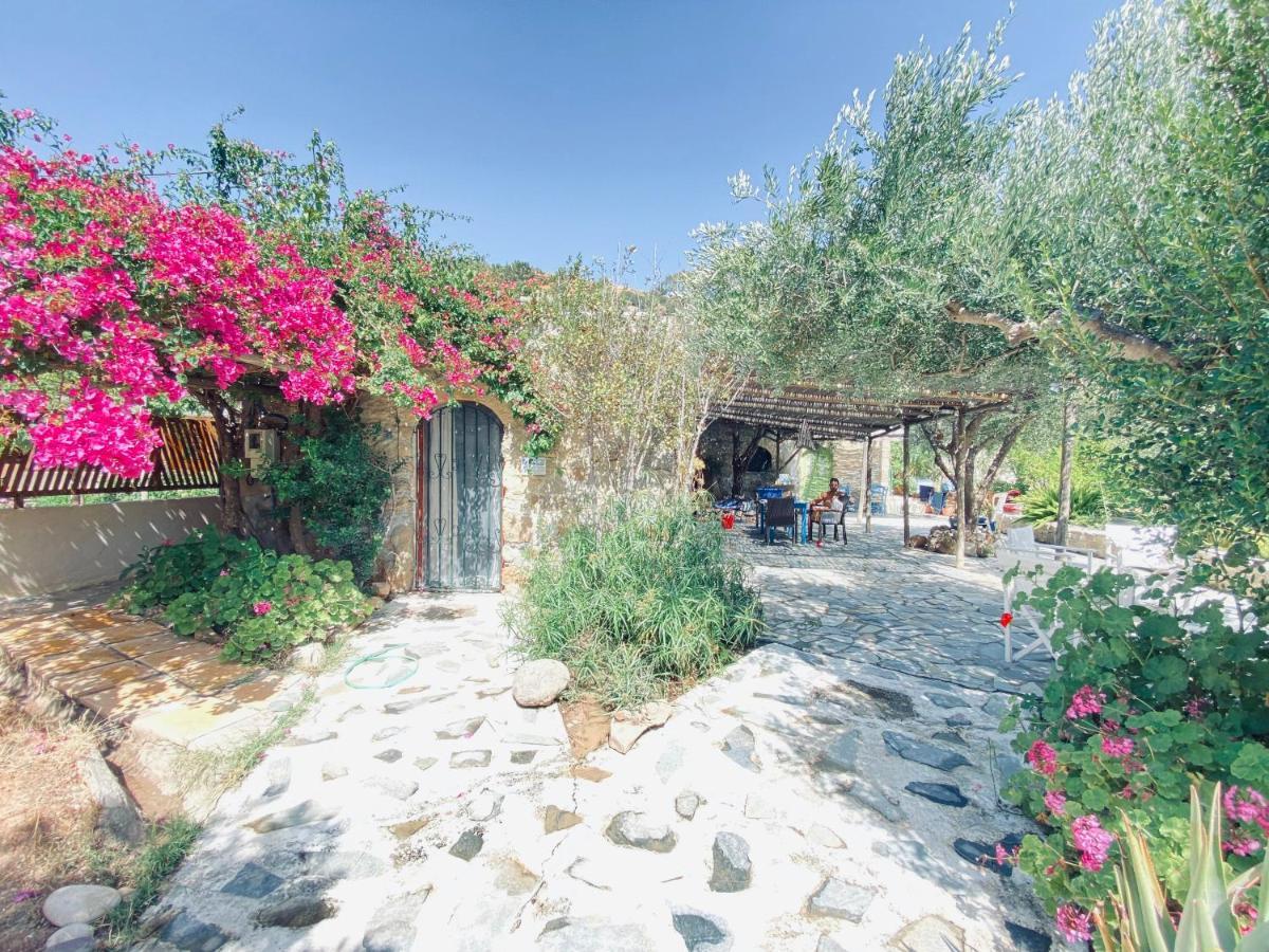 Natura Cottages Makríjalosz Kültér fotó